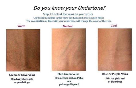 Identifying Your Skin Undertones Zizapearls Blog Skin Undertones Colors For Skin Tone