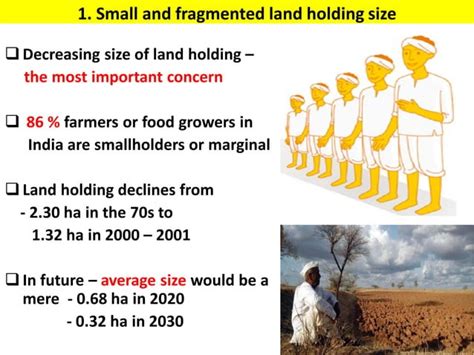 Indian Agricultural Concerns And Future Prospects Of Agriculture In India