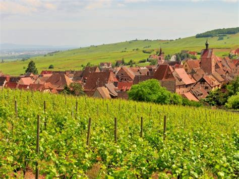 Private Alsace Grands Crus Wine Tour Day Trip From Colmar For Persons