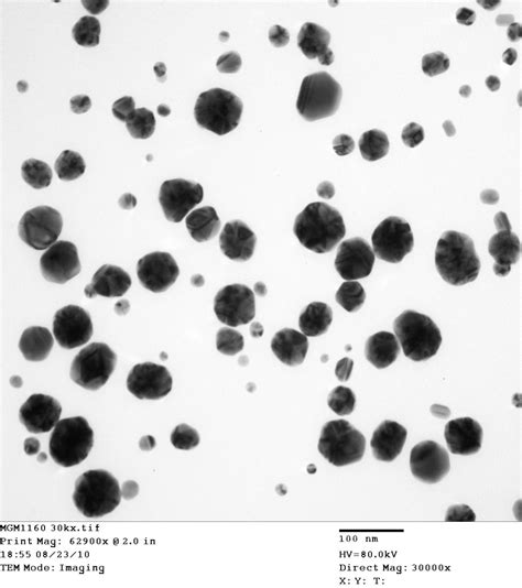 Scientific Image Silver Nanoparticles Nise Network