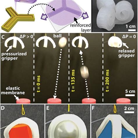 Components Of The DLP Based 3D Printing Apparatus Labeled A