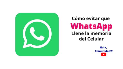 Cómo evitar que WhatsApp llene la memoria de tu celular YouTube