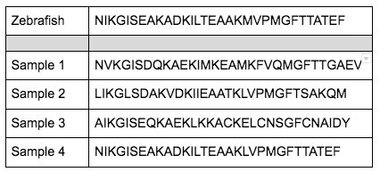 Analyzing Amino Acid Protein Sequences And Dna Nucleotide Sequences To