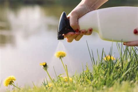 Comment se débarraser des mauvaises herbes dans le journal Découvrez