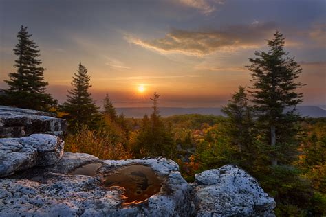 Dolly Sods Wilderness Page