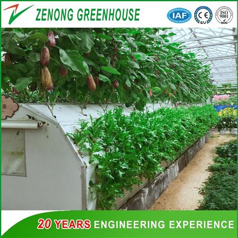 China Factory Made Greenhouse Hydroponics Aquaponics For Green