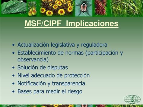 Msf Y Cipf Convenci N Internacional De Protecci N Fitosanitaria Ppt