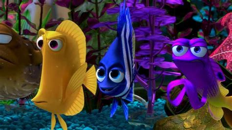 Finding Nemo Finding Nemo Image 3567965 Fanpop