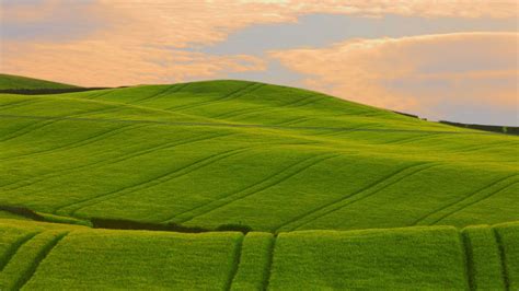 Wallpaper Landscape Hill Field Green Horizon Summer Plateau