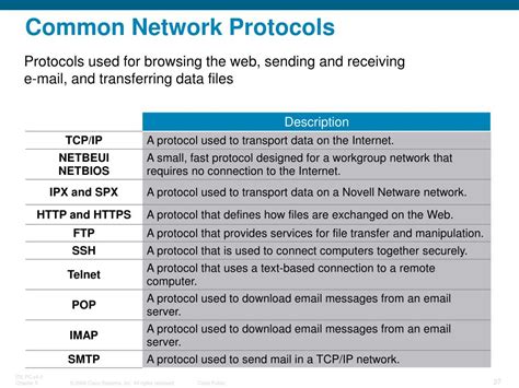 Common Network Protocols | Hot Sex Picture