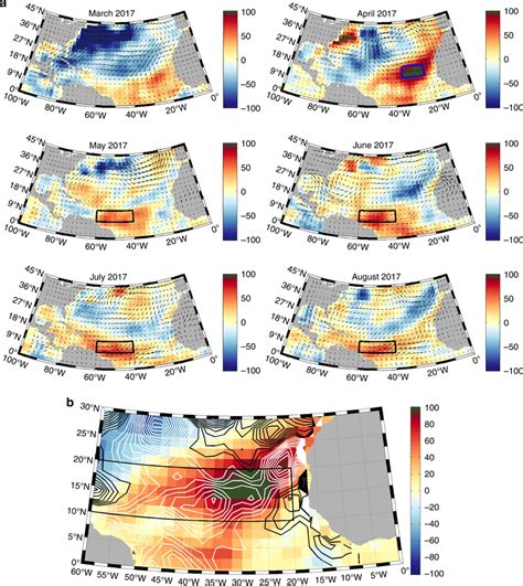 Atlantic Surface Heat Flux Anomalies The Sum Of The Net Shortwave Net Download Scientific