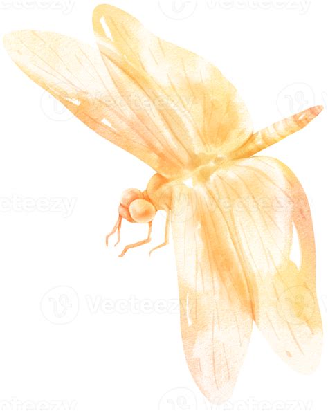 Dragonfly Watercolor Illustration 9660434 Png