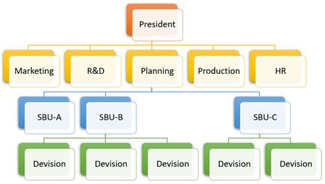 Strategic Business Units Sbu In Project Management India Free