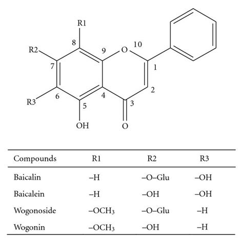 Chemical Structures Of Baicalin And Its Natural Analogs Baicalein