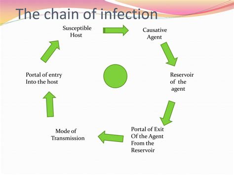 Reservoir Chain Of Infection Examples