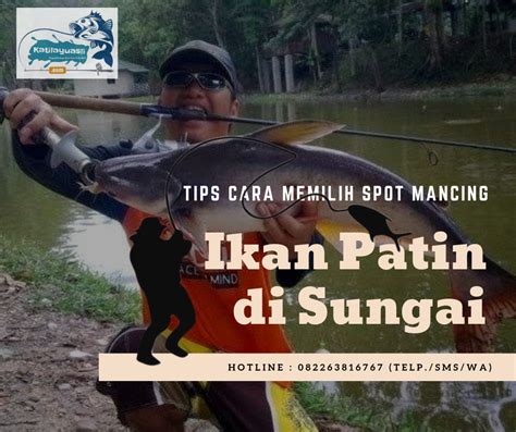 Tips Cara Memilih Spot Mancing Ikan Patin Di Sungai AMPUH AtmaGo