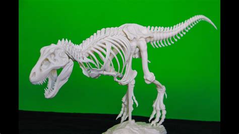 T Rex Skeleton Making At Home By Jurassic World Fan Youtube