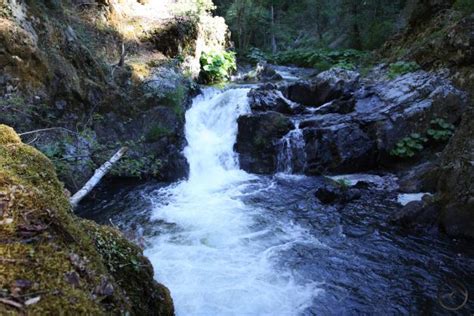 Mount Shasta Area Waterfalls: McCloud River Waterfalls | Hike Mt. Shasta