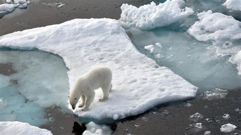 Eu Agentur Folgen Des Klimawandels In Deutschland Noch Abzumildern