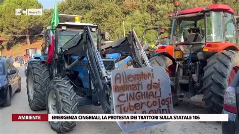 Emergenza Cinghiali La Protesta Dei Trattori Sulla Statale Video