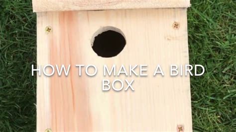 How To Make A Bird Box How To Make A Wooden Bird Box Rspb Creative Garden Projects Youtube