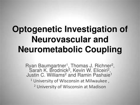 Ppt Optogenetic Investigation Of Neurovascular And Neurometabolic