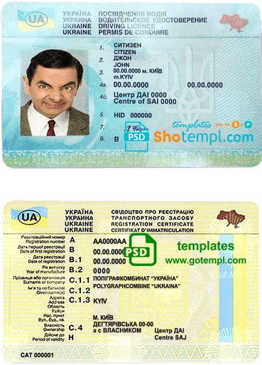 Ukraine Driving License Template In Psd Format Fully Editable With