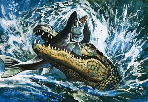 Alligator Eating Fish Painting by English School