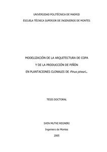 Modelizaci N De La Arquitectura De Copa Y De La Producci N De Pi N En