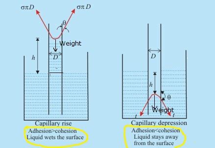 A Mm Diameter Tube Is Inserted Into A Liquid In An Open Tank And The