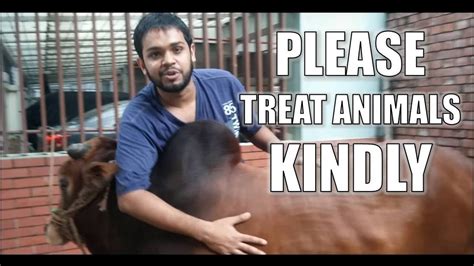 Treat Animals Kindly Even In Sacrifice Islamic Reminder Youtube