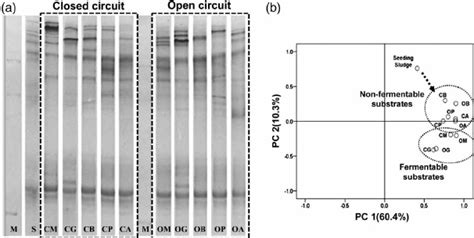 Denaturing Gradient Gel Electrophoresis Dgge Pro Fi Les A And Download Scientific Diagram