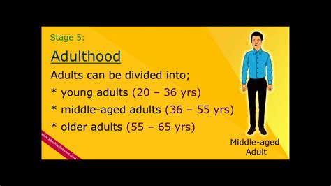 Adulthood stages – Telegraph