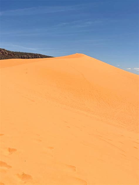 What to Do at Coral Pink Sand Dunes - Jessie Smallwood