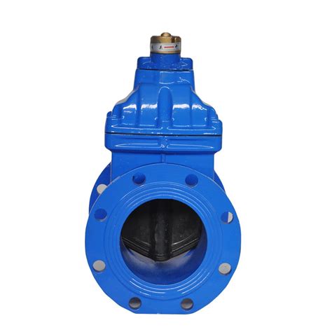 Cast Iron Flanged Resilient Seat Non Rising Stem Gate Valve China