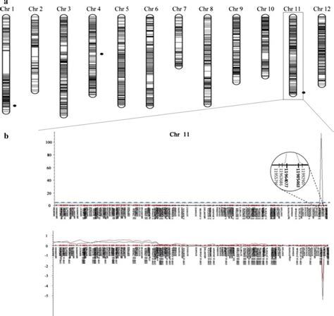 Linkage map and QTL analysis using F2 mapping population. a Genetic ... 