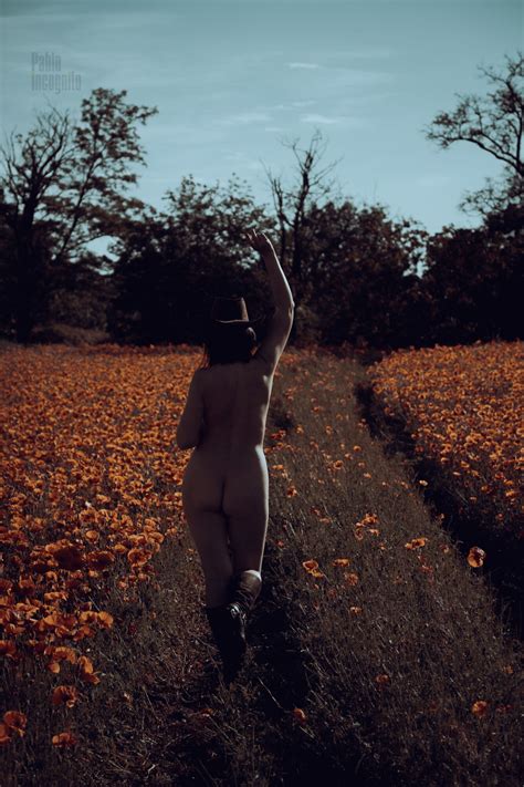 Hot Summer Nude Naked In A Cowboy Hat Pablo Incognito
