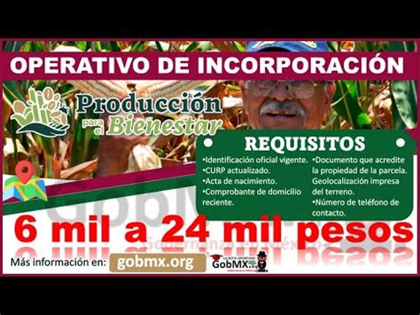 Conoce CUÁNDO Pagan Producción Guía Completa