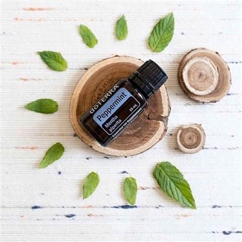 doTERRA Huile Essentielle de Menthe Poivrée 15ml AromaPro doTERRA