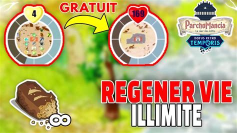 Comment Regenerer Sa Vie En Illimit Gratuit Sur Dofus Retro Temporis