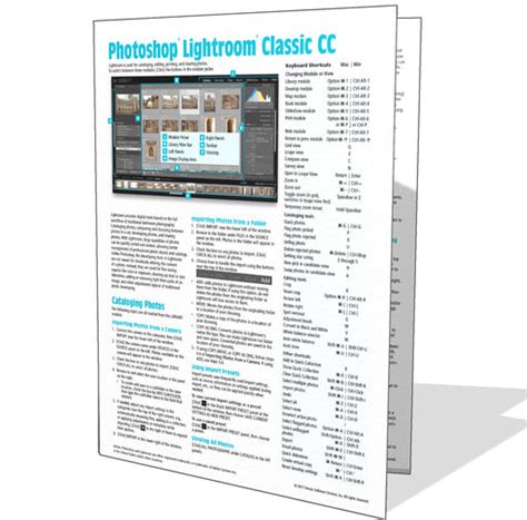 Windows 11 Quick Reference Cheat Sheet Guide Card Beezix
