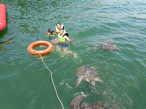 Tumbes Creaci N De La Reserva Mar Tropical Ayudar A La Conservaci N