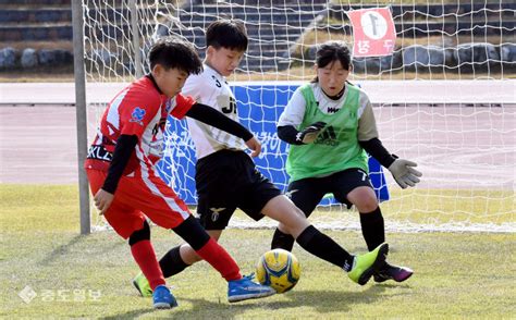 중도일보 2021 청양군수배 풋살 대축제 성료