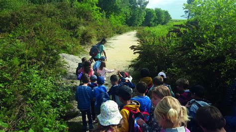 Ecosite du Bourgailh un projet nature et environnement à Pessac