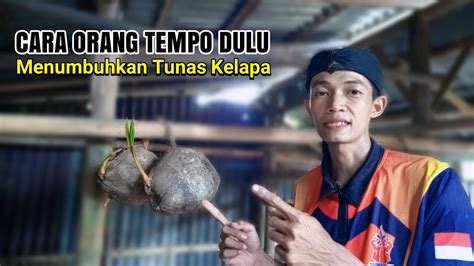 Cara Orang Jaman Dulu Menumbuhkan Tunas Pada Buah Kelapa YouTube