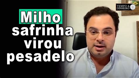 Grãos SP milho safrinha virou pesadelo e quem evitou o prejuízo não