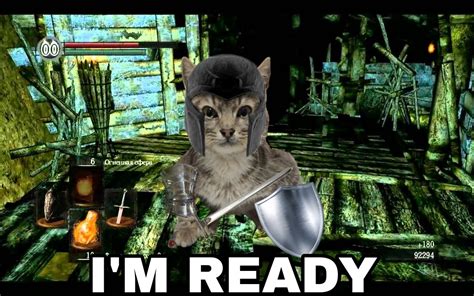 Dark Souls Meme Skyrim