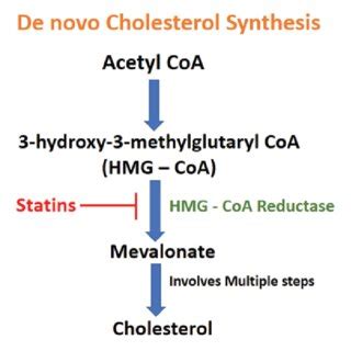 Summary of major clinical trials on statins | Download Scientific Diagram