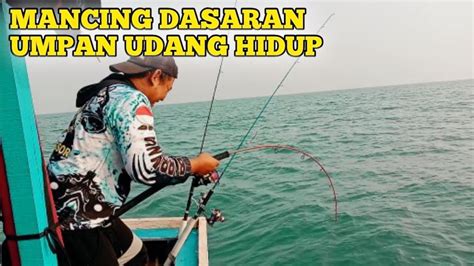 Cara Mancing Udang Di Laut - Hobi Mancing