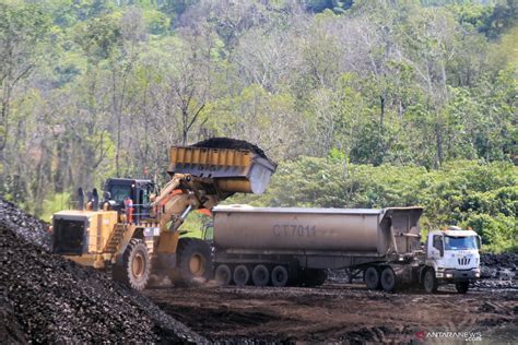 Harga Batubara Acuan Oktober Naik 3 2 Persen ANTARA News